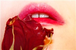 czerwona róża przy koralu ust