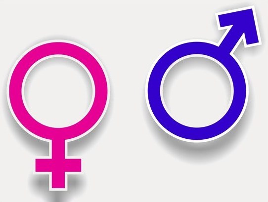 symbole płci