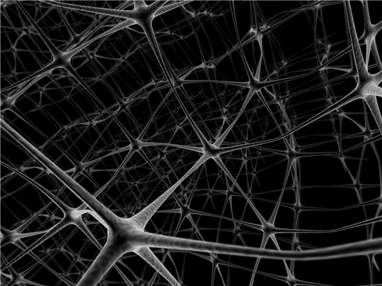 siatka neuronów
